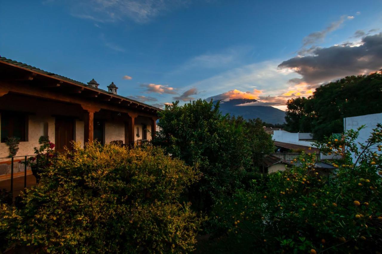 Naif Boutique Hotel Antigua Exteriér fotografie